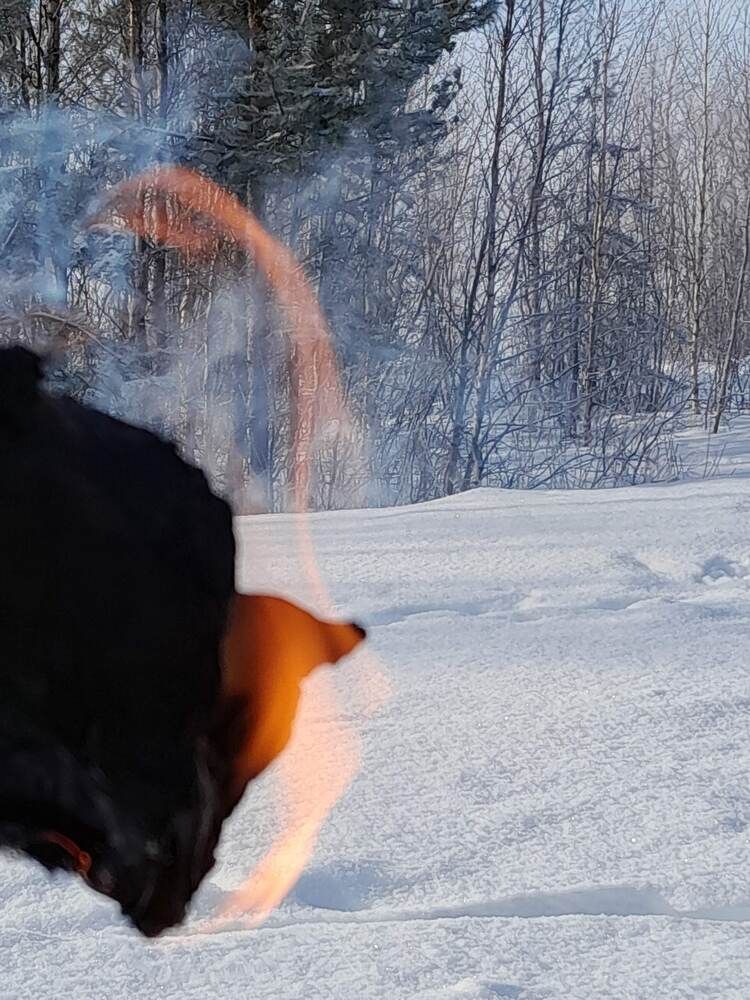 Photograph by Виталий Глазачев