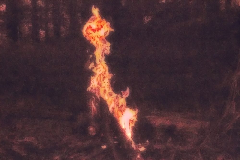 Photograph by Roman Popov