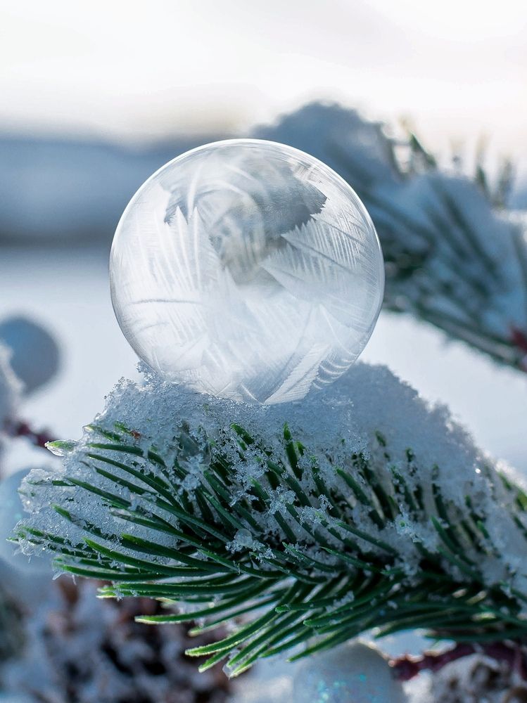 Photograph by Людмила Прибылова