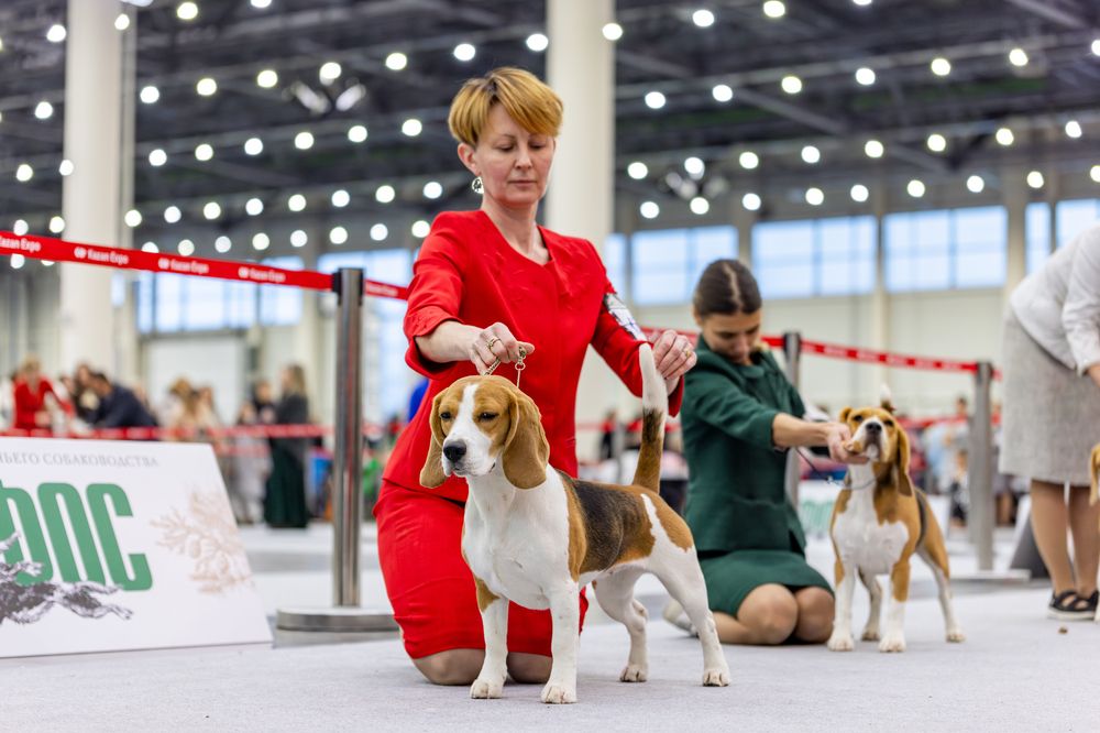 Photograph by Кирилл Ермолаев