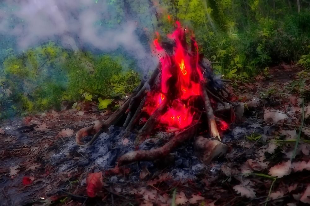 Photograph by Roman Popov