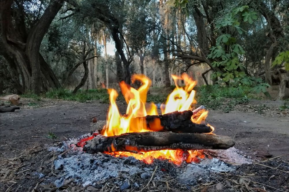 Photograph by Azzeddine Memmou