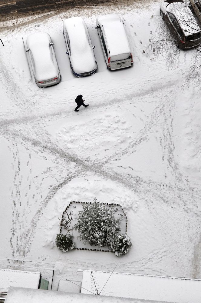 Photograph by Светлана