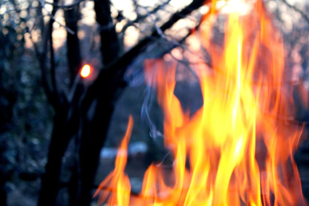 Photograph by Николай Немчанинов