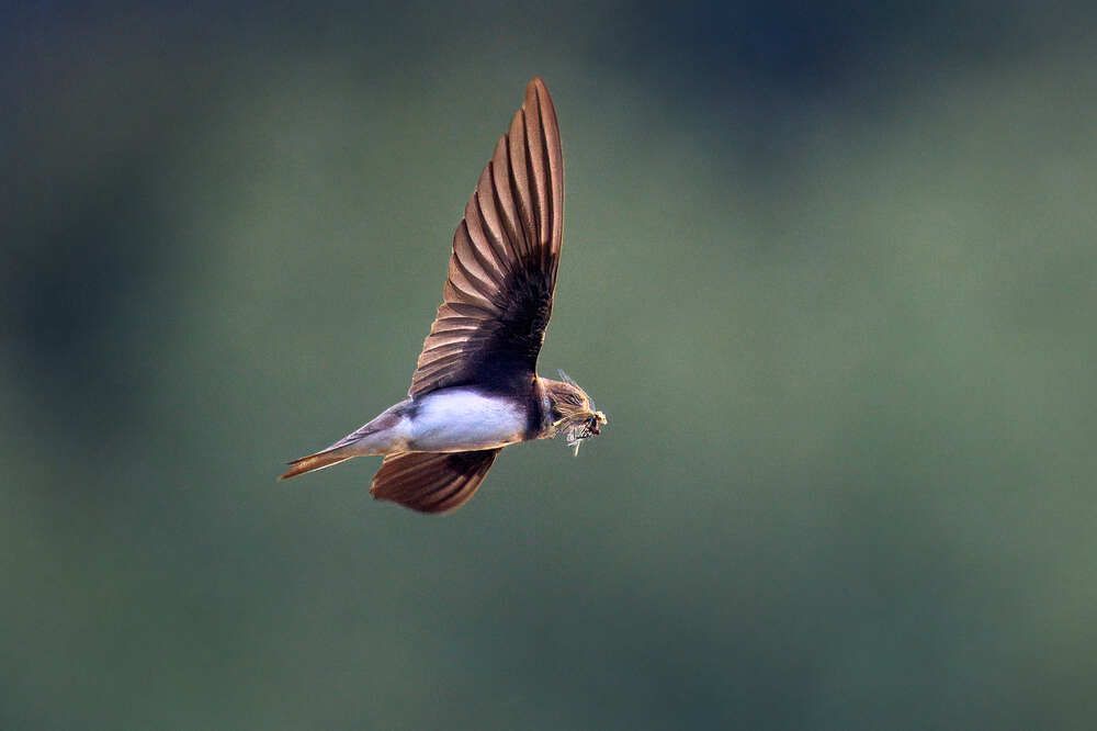 Photograph by Mikhail Khmelevskiy