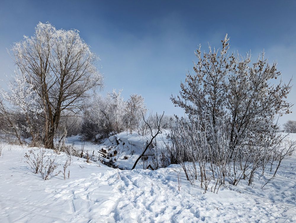 Photograph by Никита Львов