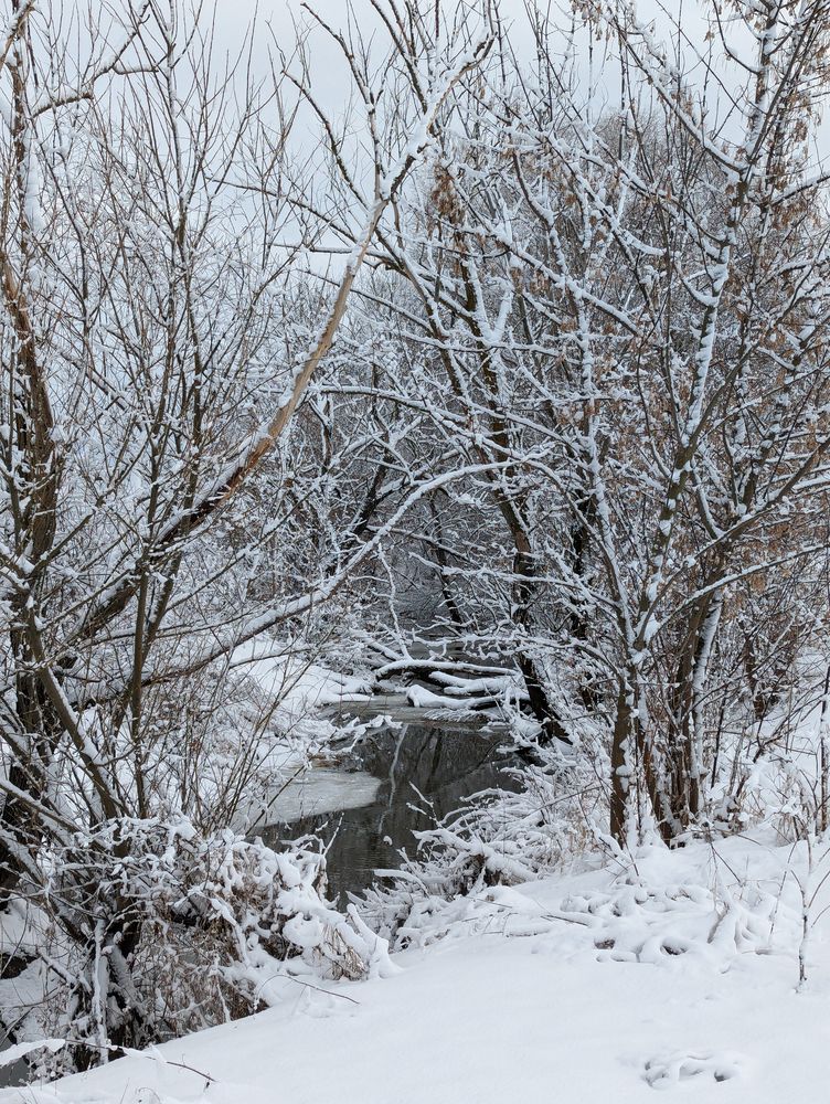 Photograph by Никита Львов