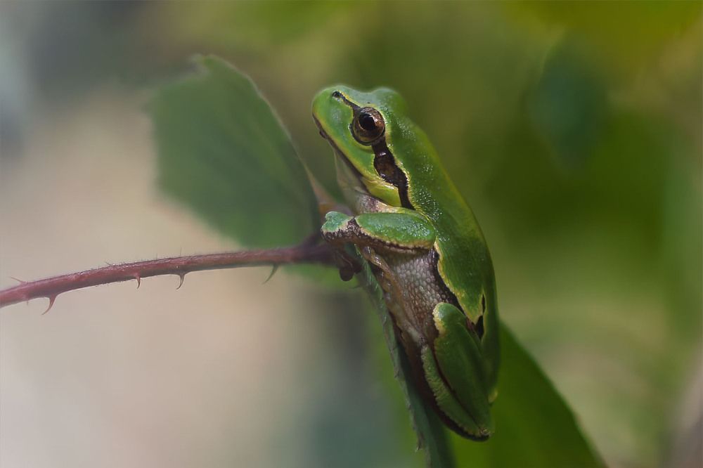 Photograph by wendy vanhoudt