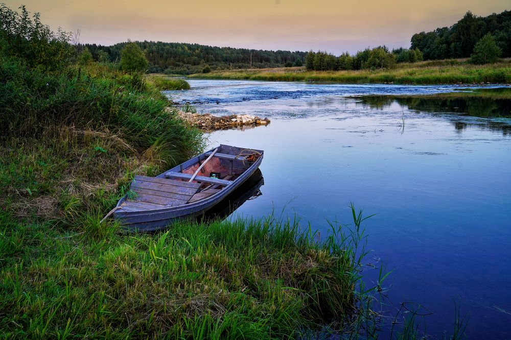 Photograph by Елена