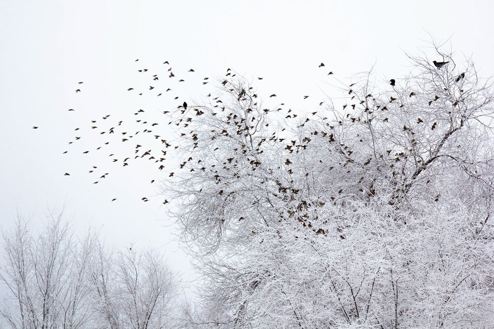 Photograph by Елена