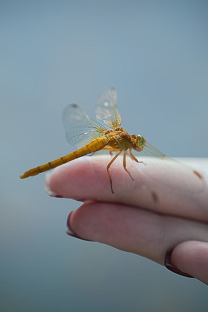 Photograph by Ирина Подгорная