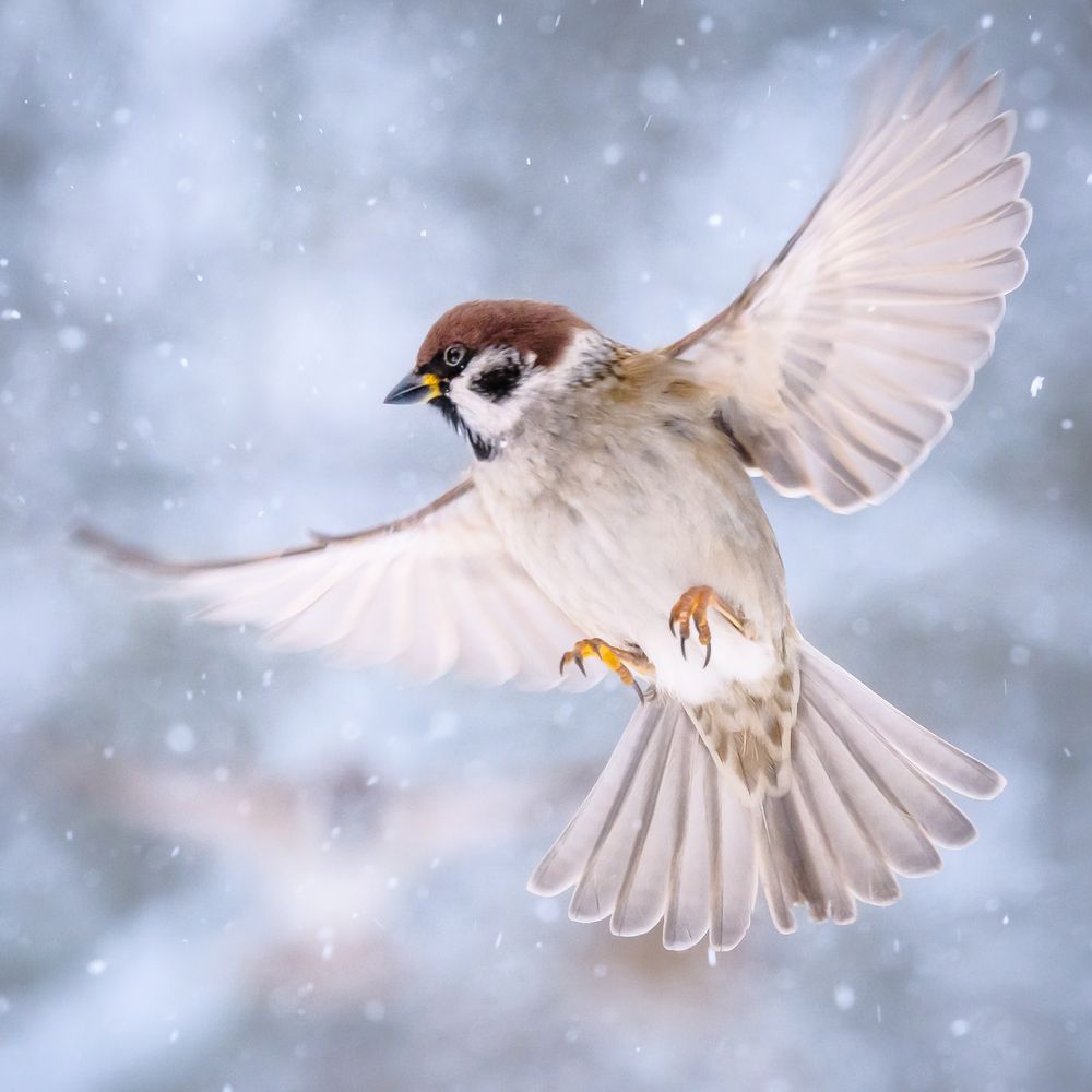 Photograph by Соварцева Ксения