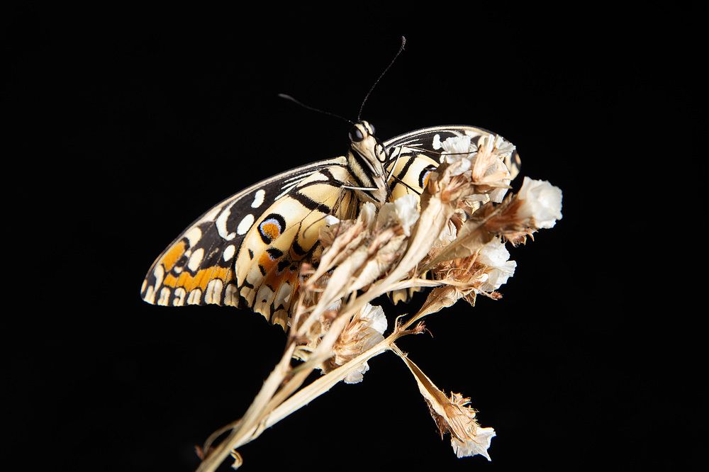 Photograph by Ирина Подгорная