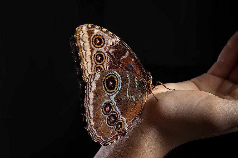 Photograph by Ирина Подгорная