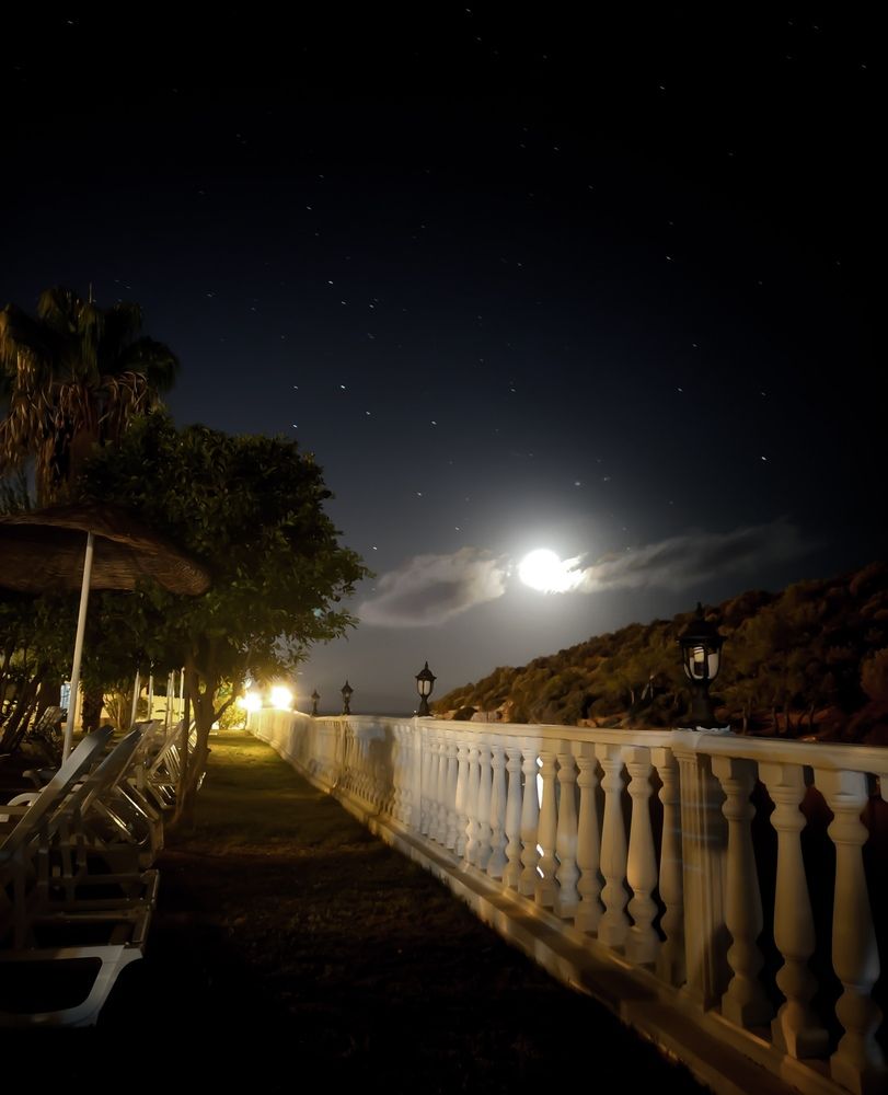 Photograph by Марина Бедрина