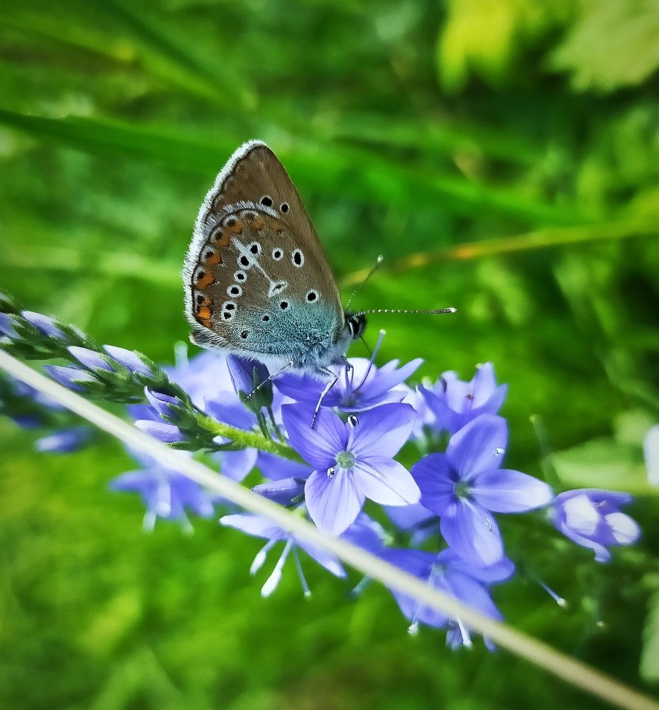 Photograph by Ольга Мартьянова