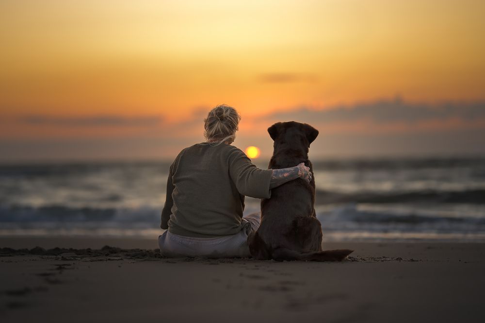 Photograph by Nathalie Soleil