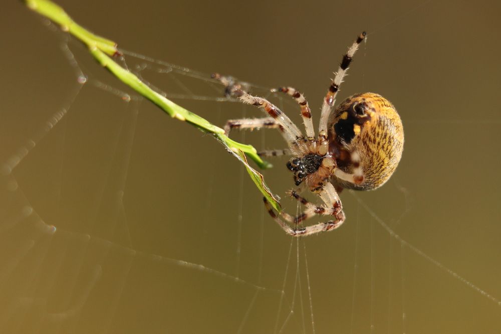 Photograph by Ангелина Высочина