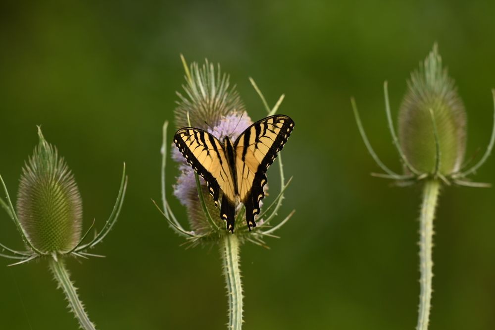 Photograph by Tyler Dewees