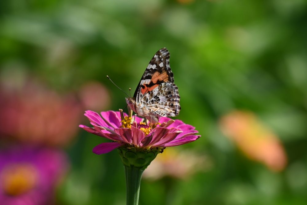 Photograph by Tyler Dewees