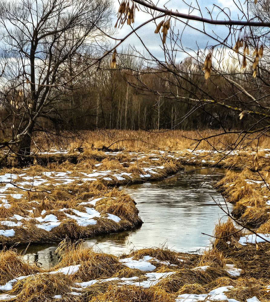 Фотография автора Нина Зинченко