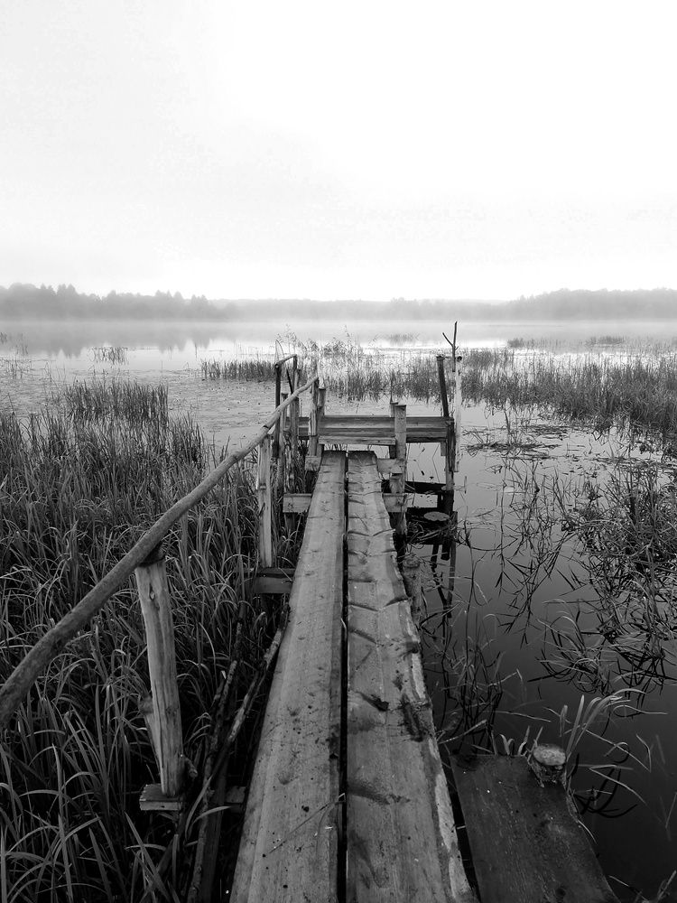 Photograph by Angelica Medvedeva