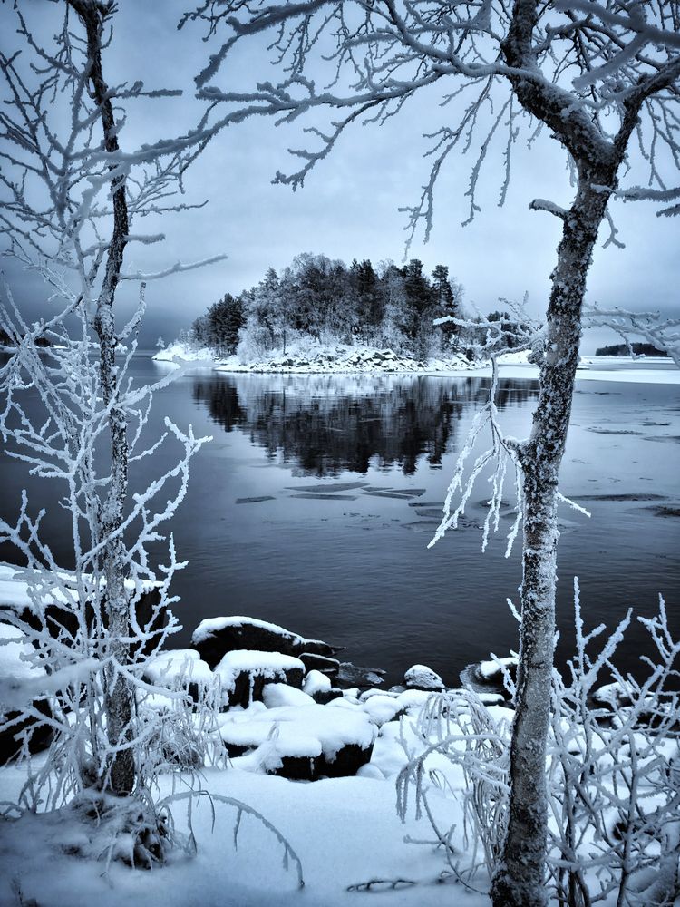 Фотография автора Шишкин Дмитрий