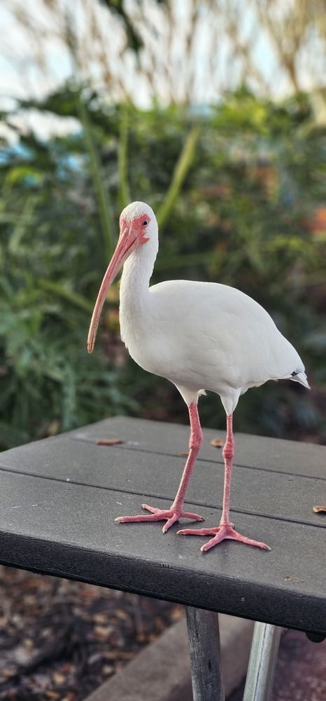 Photograph by Analía Pérez