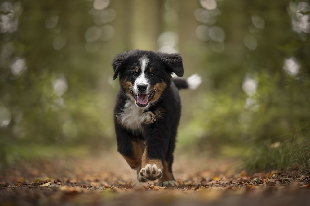 Photograph by Nathalie Soleil