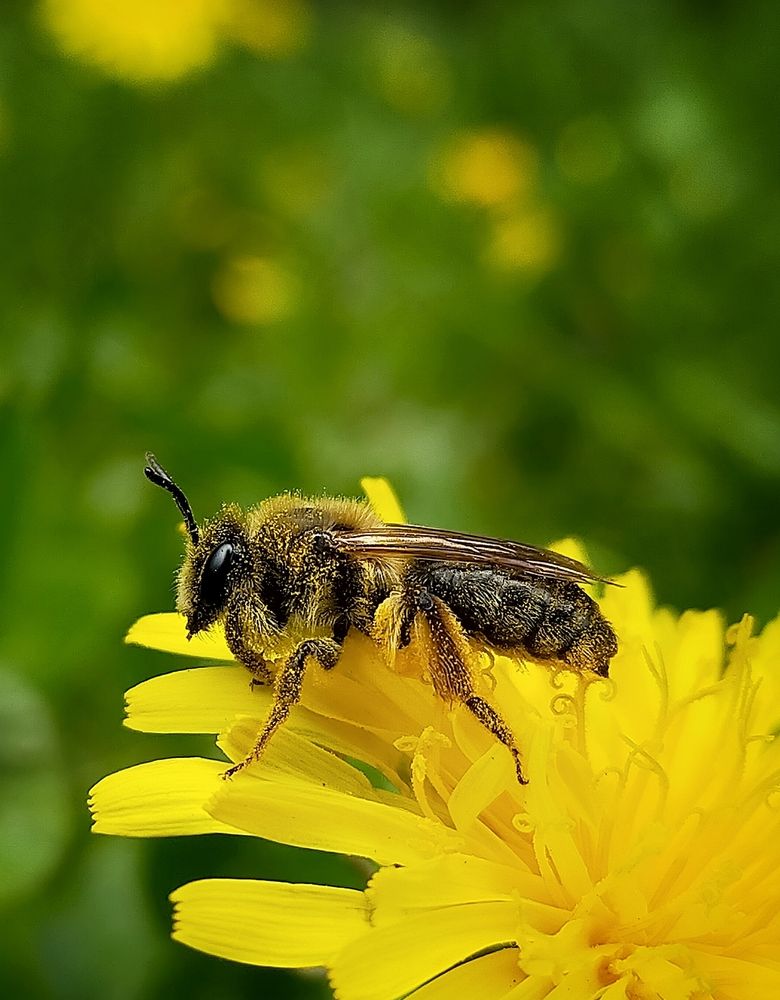 Photograph by Ольга Мартьянова