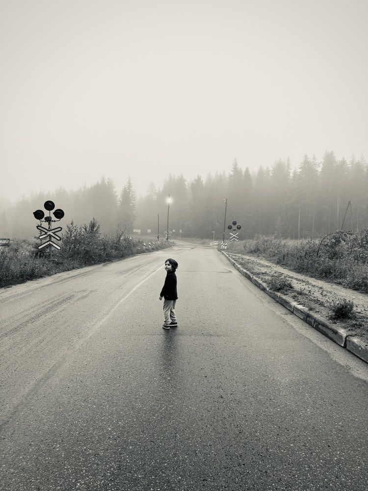 Photograph by Алина Сухова