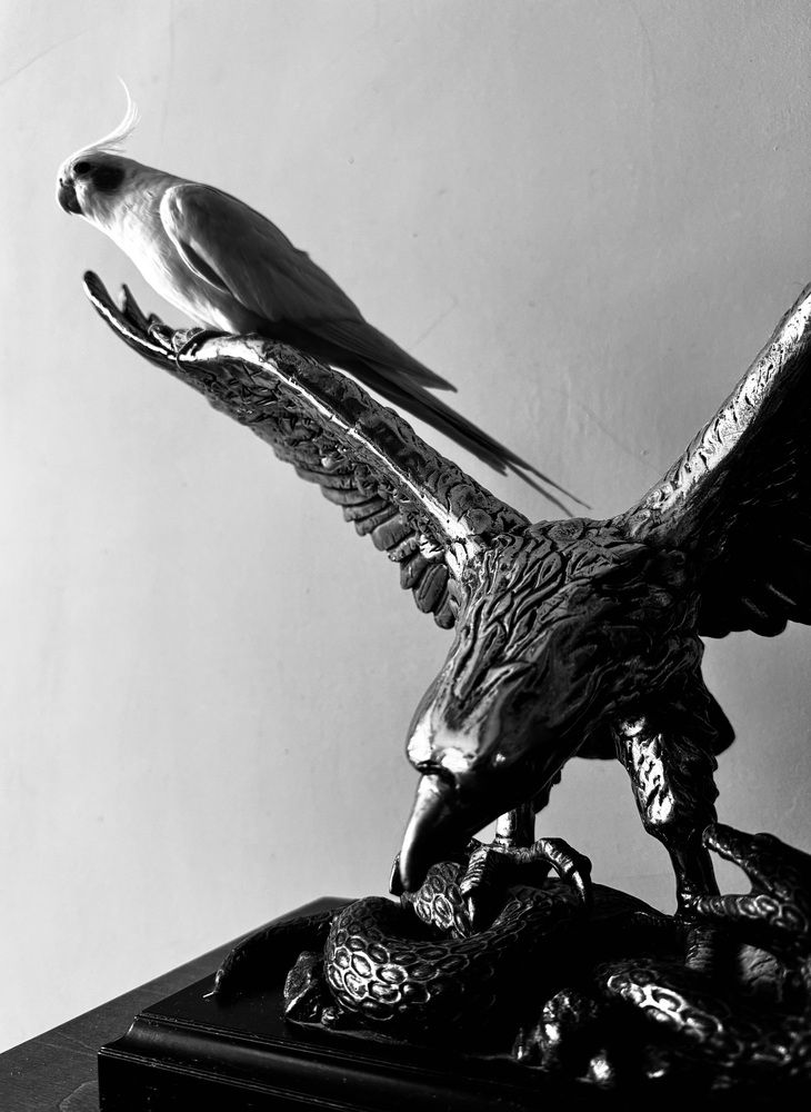 Photograph by Анастасия Денисенко