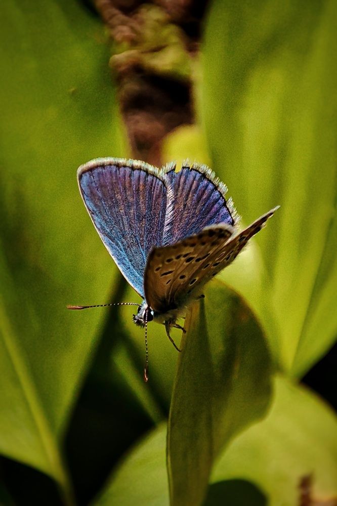 Photograph by Ирина Строкова