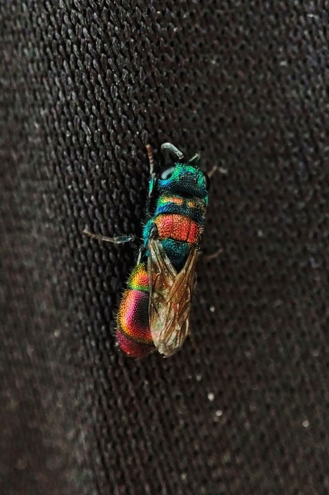 Photograph by Ирина Строкова