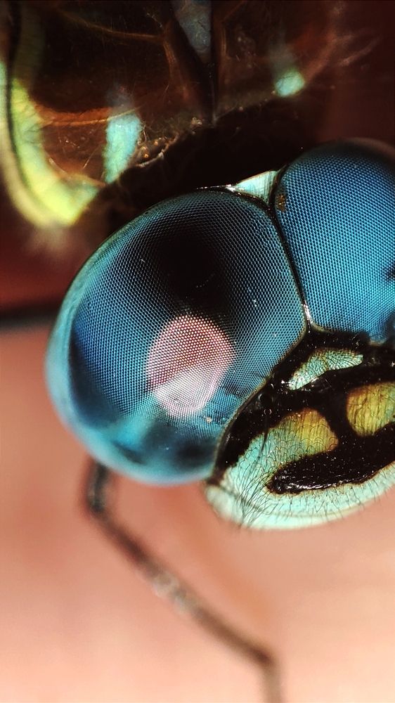 Photograph by Ирина Строкова