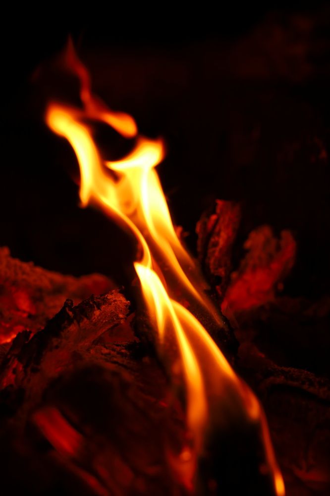 Фотография автора Мария Стратан