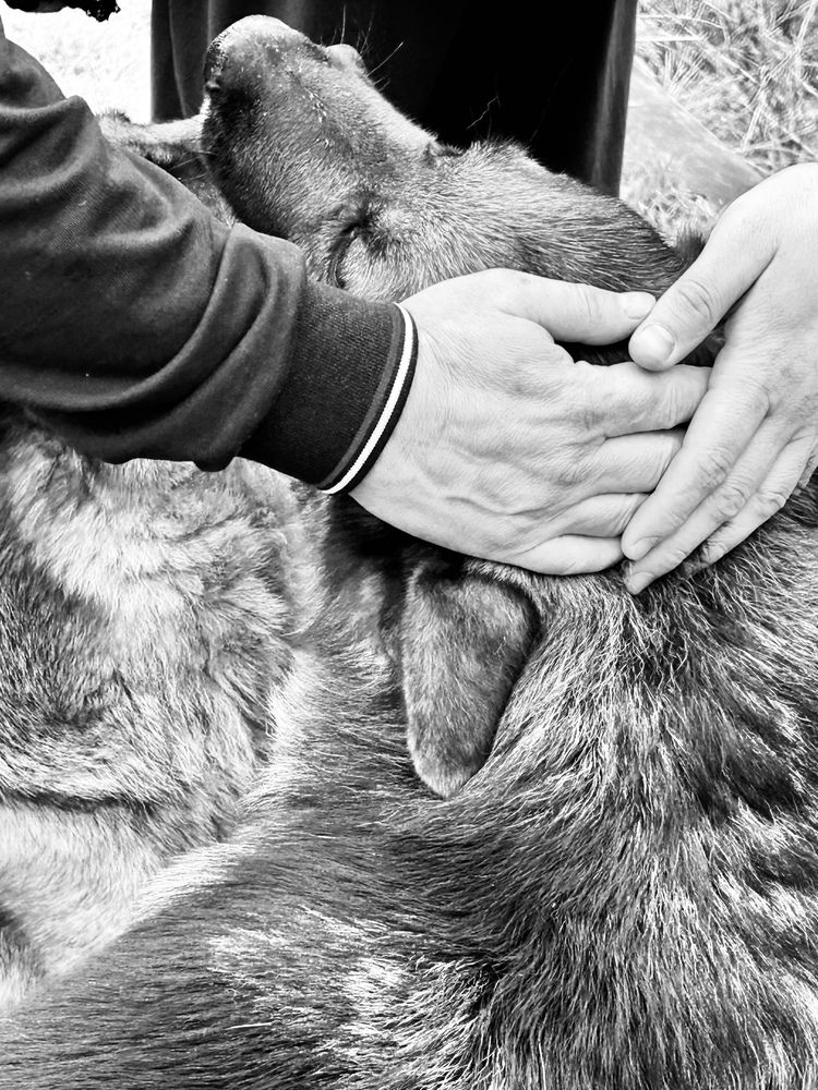 Photograph by Виктория Максименко