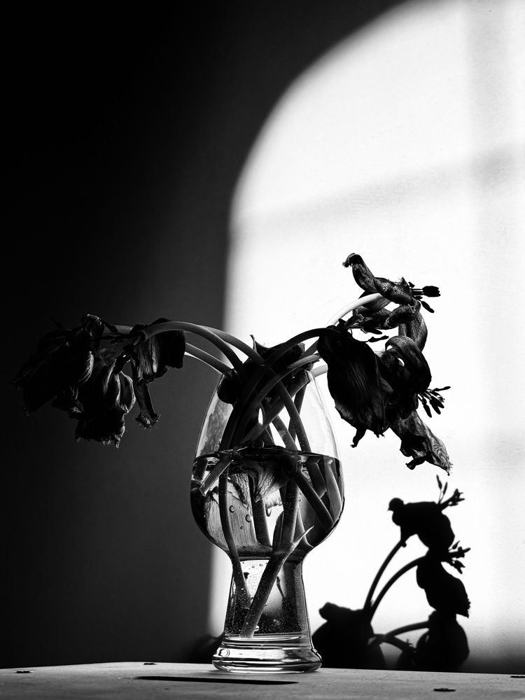 Photograph by Анастасия Денисенко