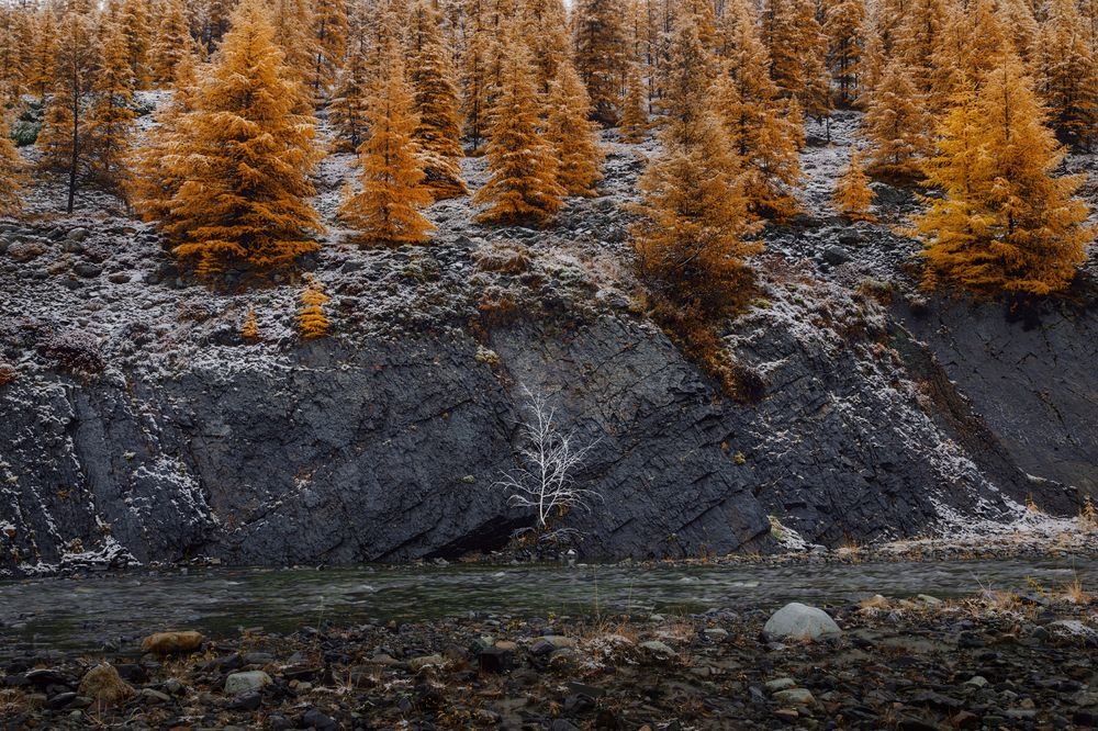 Якутия в горах Сунтар-Хаята