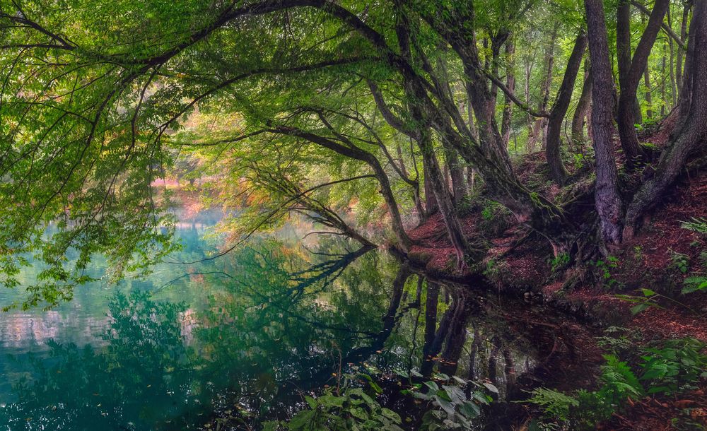 Фотография автора Алексей Бордуков