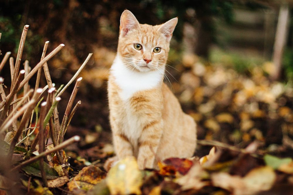Photograph by Светлана Евдакова
