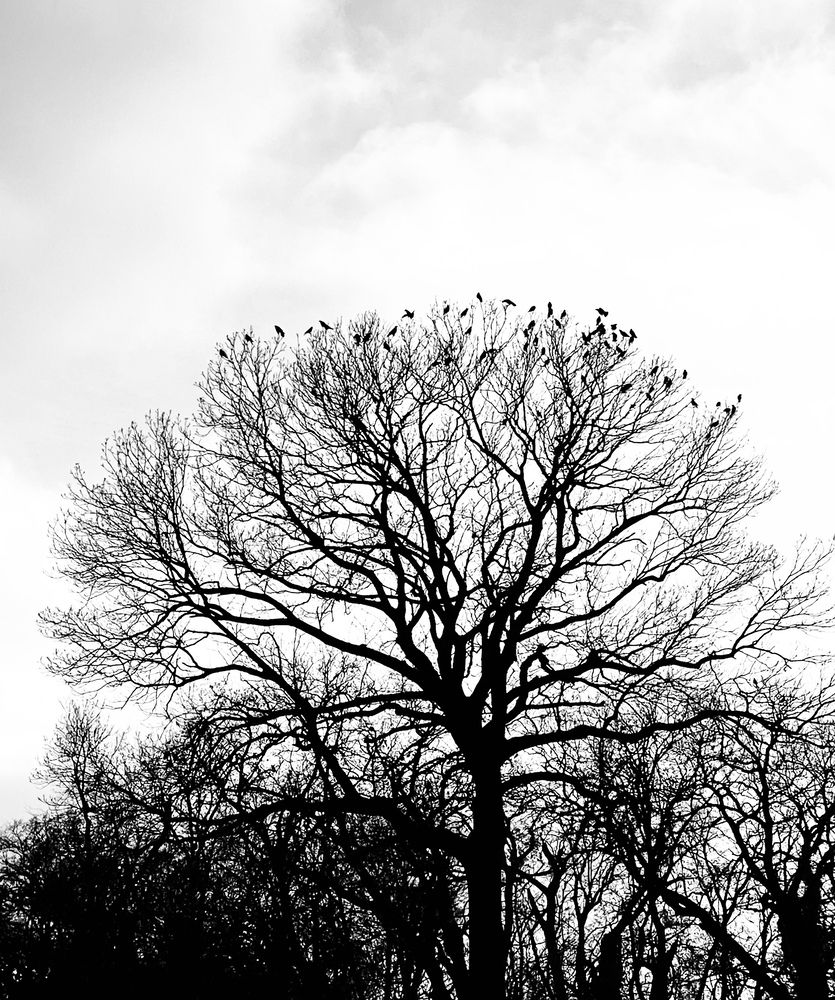 Photograph by Анастасия Оранжевая