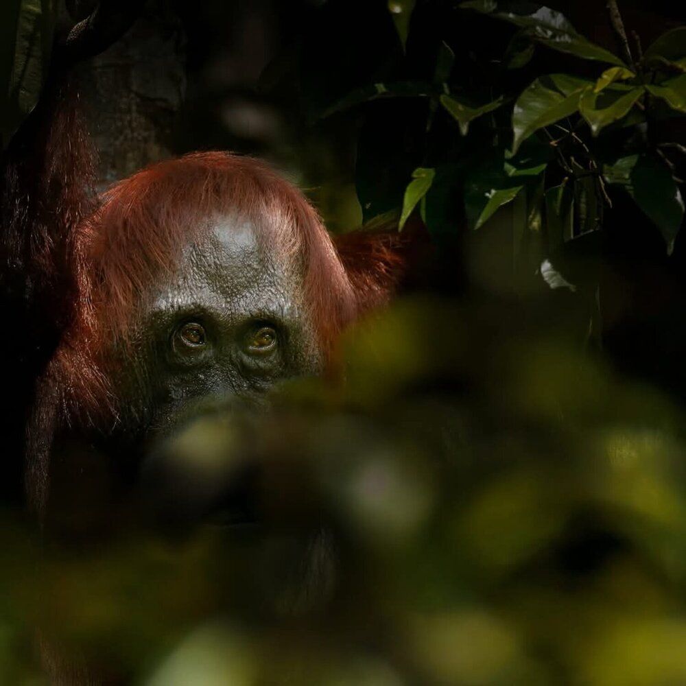 Photograph by Sathyan KM