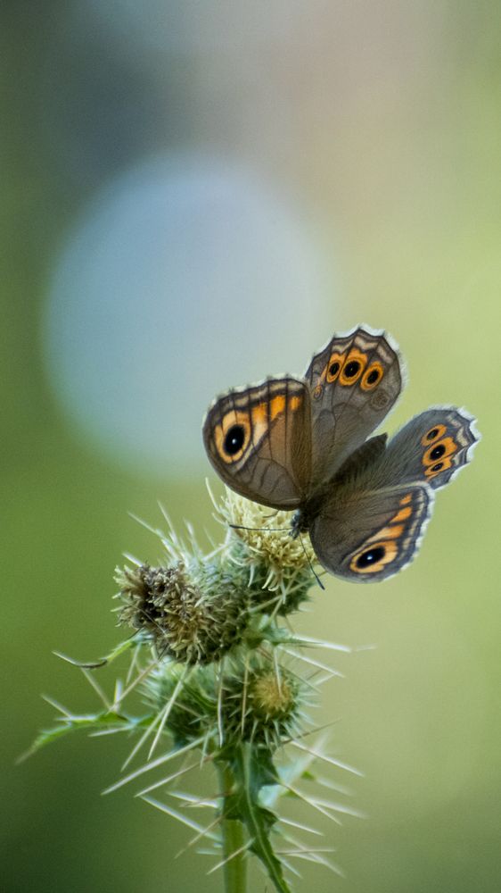 Photograph by Yash Nandurkar