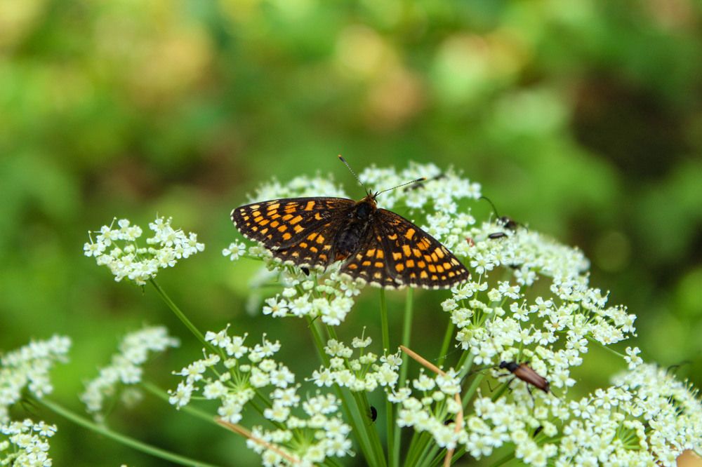 Photograph by Мария Самолевич