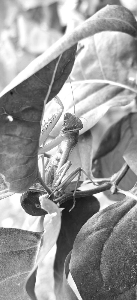 Photograph by Ажар Шайдилдинова