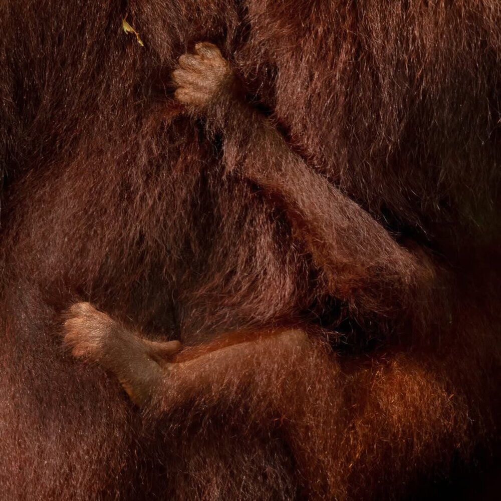 Photograph by Sathyan KM