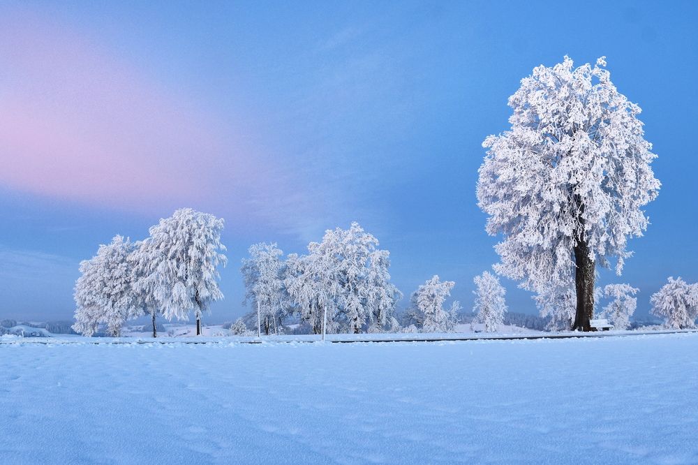 Photograph by Wymann Elena