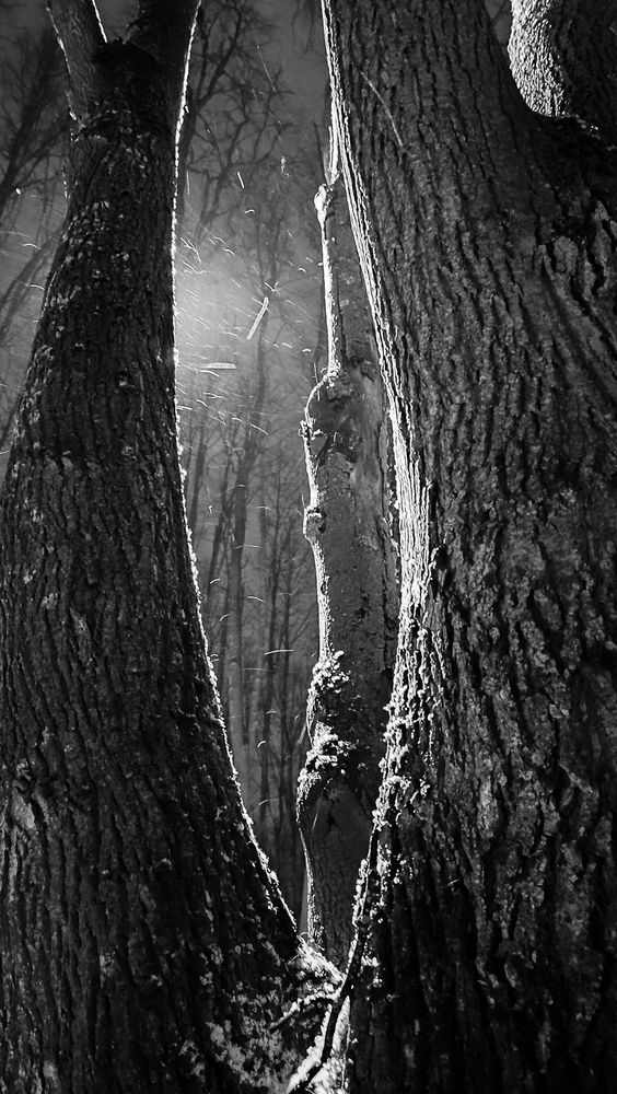 Photograph by Надежда Михайлина