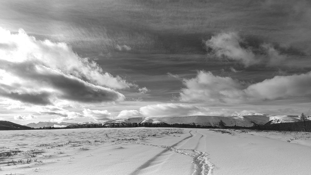 Photograph by Надежда Михайлина